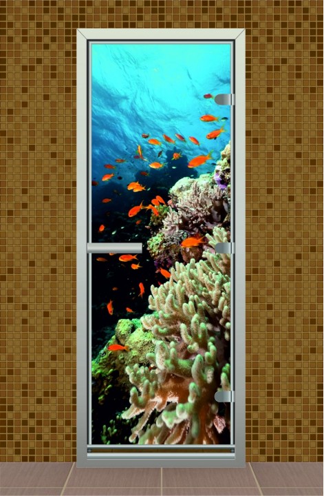 Дверь для турецкой бани серия "Риф" с фотопечатью